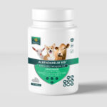 ALBENDAHELM 500 TABLETS Albendazole 500 mg buy online
