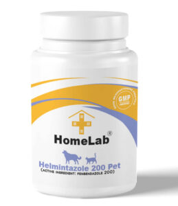 Helmintazole 200 pet fenbendazole for dogs Panacur