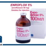 enrofloxacin 50 mg solution for injection
