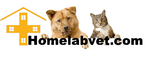 Contacts Homelabvet