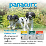 panacur canine dewormer fenbendazole helmintazole