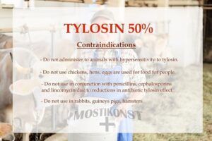 Tylan tylosin for Dogs buy online canada