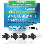 Amoxicilline bacterial infections in fish clavulanic use price online