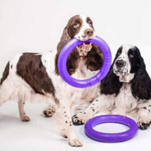 puller collar for dogs for sale buy online