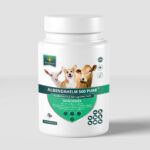 Albendahelm Albendazole 500mg Pure price capsules buy online for sale us