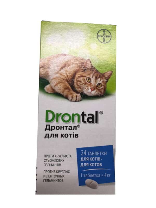 drontal for cats