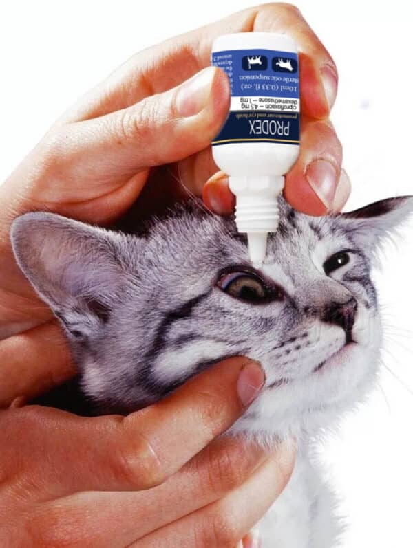 Prodex ciprodex drops