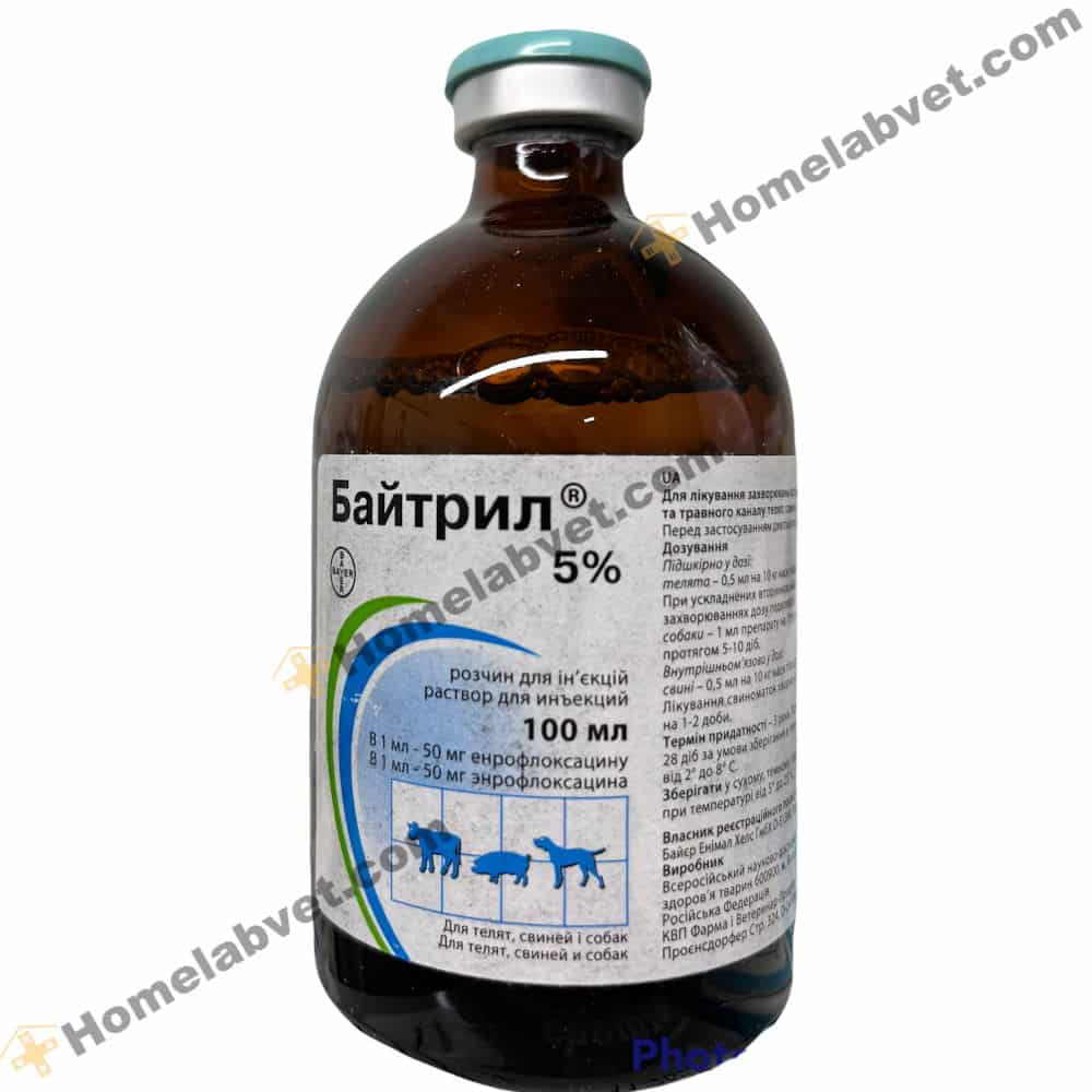 Baytril 50 (Enrofloxacin) For Cattle, Dog, Cat, Pig Fo Sale | Homelabvet