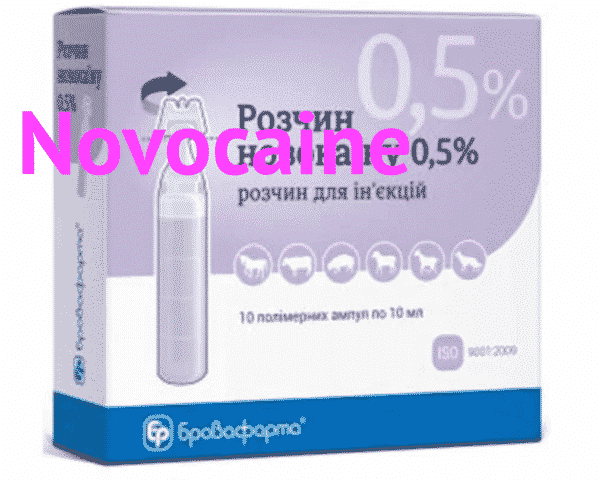 novocaine 0.5%