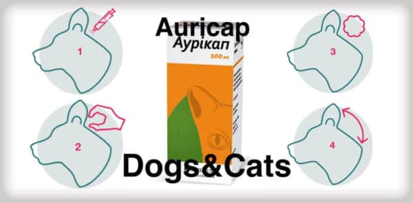 Ear Cleansing Solution for Dogs and Cats auricap main dog prescriptions