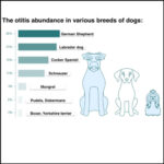Ear Cleaner Advanced Formula Natural Drop Cleaning Solution For Dogs and Cats