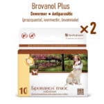 Dewormer antiparasitic (praziquantel, ivermectin, levamisole)