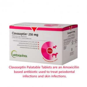 Clavaseptin Tablets for dogs