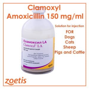 Amoxicillin Injection Antibiotic broad-spectrum penicillin best price online