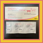 Synulox 250 mg amoxicillin Clavulanic Acid Without prescription