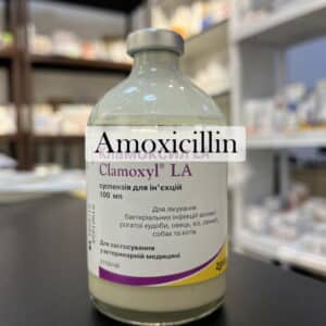 amoxicillin Without prescription online sale