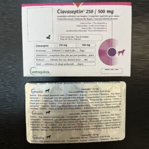 clavaseptin 250 no prescription 500 mg