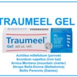 Traumeel gel for sale online