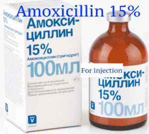 amoxicillin 15% - 100ml