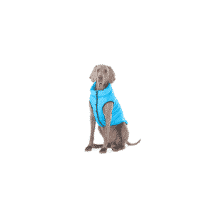 Dog jacket One