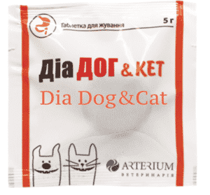 Dia dog and cat