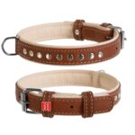 Collar WAUDOG Soft with metal ornaments, brown top