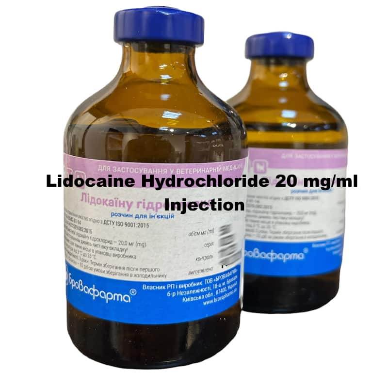 Lidocaine Anesthetic | Lidocaine 20Mg | Petmeds | Online Vet Pharmacy