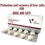 Protection and recovery of liver cells