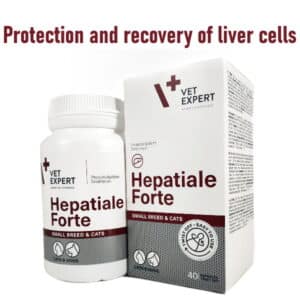 Protection and recovery of liver cells for dogs