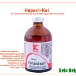 Thiamine hydrochloride Riboflavin Pyridoxine hydrochloride Nicotinamide Dexpanthenol Cyanocobalamin solution