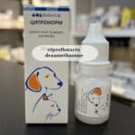 ciprofloxacin dexamethasone drops