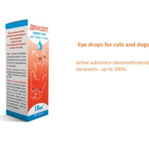 Chloramphenicol drops for outlet dogs