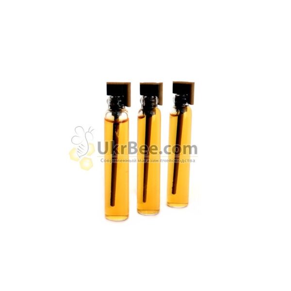 Adhesive labels on the uterus Jenter - Image 2