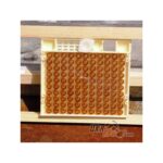 Beekeeping queen rearing system system set Nikot "Nicot-50" - Image 12