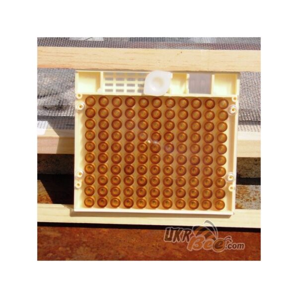 Beekeeping queen rearing system system set Nikot "Nicot-50" - Image 12