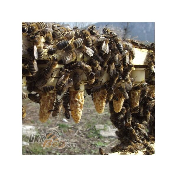 Beekeeping queen rearing system system set Nikot "Nicot-50" - Image 6