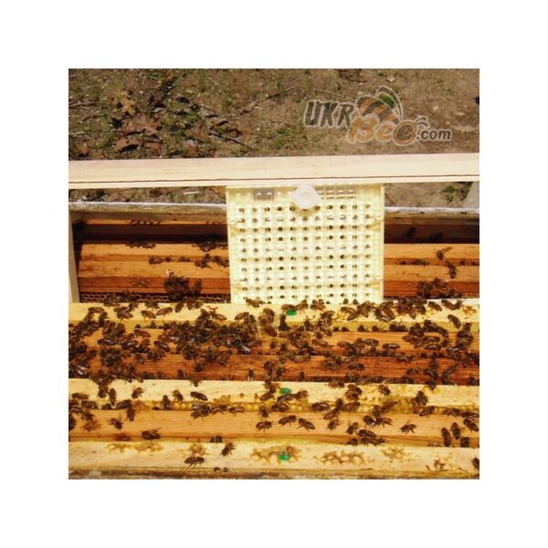 Beekeeping queen rearing system system set Nikot "Nicot-50" - Image 7