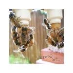 Beekeeping queen rearing system system set Nikot "Nicot-50" - Image 9