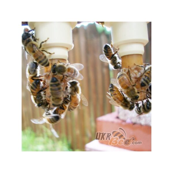 Beekeeping queen rearing system system set Nikot "Nicot-50" - Image 9