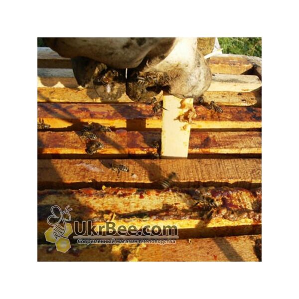 Varostop 10 strips (best varroa mite treatment strips) for bees - Image 4