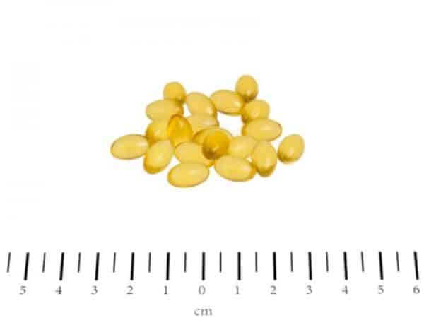 Canina Petvital Derm-Caps for dogs and cats 100 capsules - Image 2