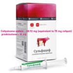 Sulfac 8g (0.28 oz) syringe 1 tube - BF Cattle