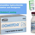 Domitor, 10 ml Sedator analog