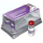Globfel-4