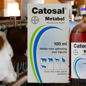 catosal for sale online