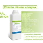 Vitamin mineral complex oral solution