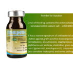 benzylpenicillin sodium salt - 1 000 000 IU Penicillin