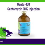 Genta-100 Gentamycin 10% injection