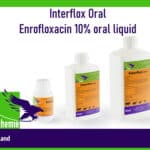 Interflox Oral Enrofloxacin 10% oral liquid online