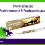 Intermectin Duo PasteIvermectin & Praziquantel paste